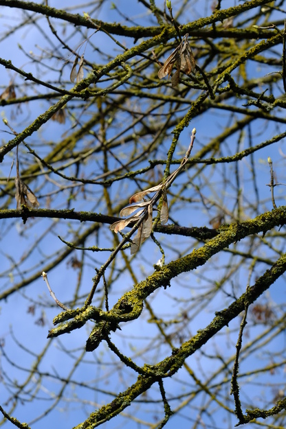 March close-up photo