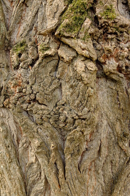 September close-up photo