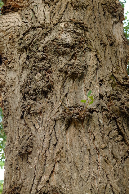 September close-up photo