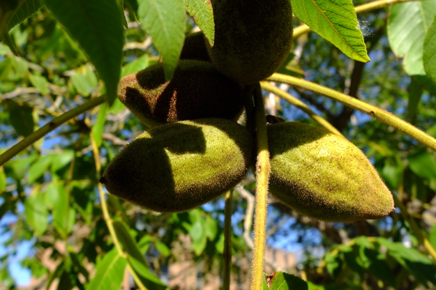September close-up photo