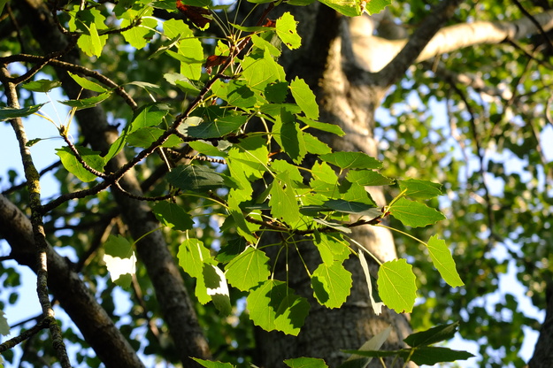 September close-up photo