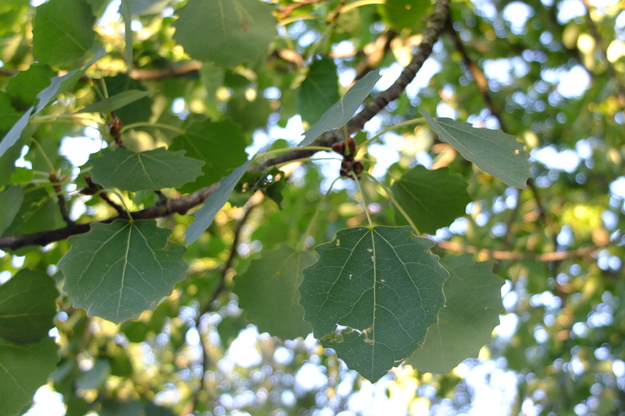 September close-up photo