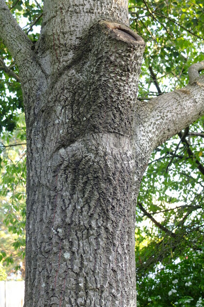 September close-up photo