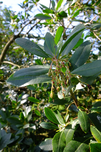 March close-up photo