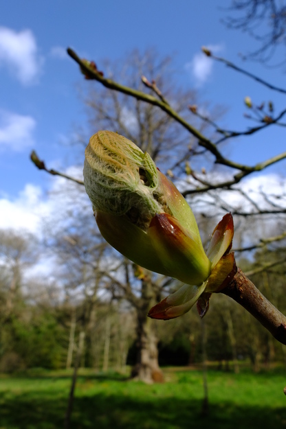 March close-up photo