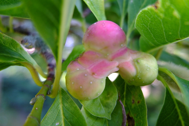 September close-up photo