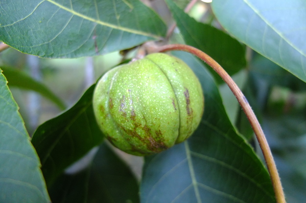 September close-up photo