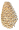 The Gymnosperm database The Gymnosperm database