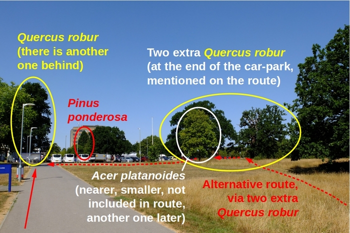 Photo giving directions for the route